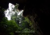 21 Blick aus der Unterwelt in den Regenwald