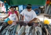 11 Lecker - frische Fischfilets vom Markt