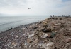 Müllküste