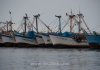 Fischerboote in Paracas
