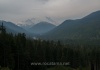 14 Mt Rainier wacht über seinen Wald
